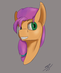 Size: 1800x2160 | Tagged: safe, artist:tenebrisnoctus, sunny starscout, earth pony, pony, g5, bust, female, gray background, grin, portrait, signature, simple background, smiling, solo, teeth