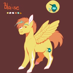 Size: 1024x1024 | Tagged: safe, artist:art-and-a-half, oc, oc only, oc:blaise, pegasus, pony, brown background, male, offspring, parent:lightning dust, parent:short fuse, parents:lightningfuse, simple background, solo, stallion