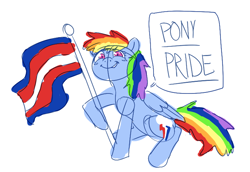 Size: 754x519 | Tagged: safe, anonymous artist, rainbow dash, pegasus, pony, g4, dialogue, female, flag, mare, ponysexuality flag, pride, pride flag, simple background, solo, white background