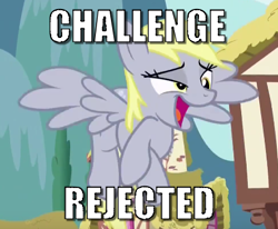 Size: 433x357 | Tagged: safe, derpy hooves, g4, season 5, slice of life (episode), caption, challenge accepted, image macro, open mouth, subverted meme, text