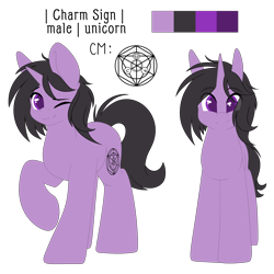 Size: 3000x3000 | Tagged: safe, artist:xcinnamon-twistx, oc, oc:charm sign, pony, unicorn, commission, high res, male, ref, reference sheet