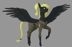 Size: 4000x2600 | Tagged: safe, artist:stray prey, oc, oc only, oc:veen sundown, pegasus, pony, braided tail, clothes, female, mare, simple background, solo, spread wings, sundown clan, wings