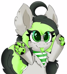 Size: 2736x3000 | Tagged: safe, artist:pegamutt, oc, oc only, oc:bree jetpaw, pegasus, pony, big ears, clothes, colored tongue, cowlick, curly tail, fangs, fluffy, freckles, high res, paw pads, paws, pegamutt, scarf, solo, spots, tongue out