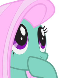 Size: 1018x1304 | Tagged: safe, fluttershy, minty, pony, g3, g4, g3 to g4, generation leap, hoof over mouth, recolor, simple background, transparent background
