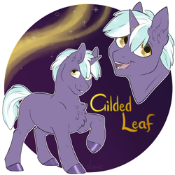 Size: 2000x2000 | Tagged: safe, artist:jeshh, oc, oc only, oc:gilded leaf, pony, unicorn, colt, high res, male, solo