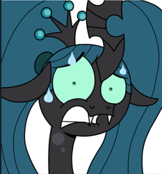 Size: 864x927 | Tagged: safe, artist:jay muniz, edit, queen chrysalis, changeling, changeling queen, pony, ask crinkle bottom chrysalis, g4, cropped, crown, female, floppy ears, frown, funny, jewelry, lip bite, looking at you, pigtails, reaction image, regalia, scared, simple background, solo, sweat, white background