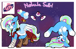 Size: 3224x2096 | Tagged: safe, artist:beardie, oc, oc only, oc:nebula swirl, pegasus, pony, boots, clothes, coat markings, commission, dock, featureless crotch, high res, intersex, shoes, socks (coat markings), third eye, three eyes, transgender, two toned wings, underhoof, wings