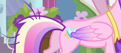 Size: 1922x841 | Tagged: safe, screencap, princess cadance, alicorn, pony, a canterlot wedding, g4, butt, cropped, female, folded wings, lovebutt, low quality, mare, messy tail, pictures of butts, plot, solo, wings
