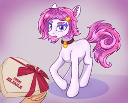 Size: 4000x3208 | Tagged: safe, artist:eltaile, oc, oc:ronya, pony, box, chocolate, choker, duo, female, food, heart, open mouth, present, ribbon