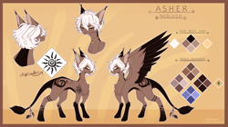 Size: 3990x2230 | Tagged: safe, artist:honeybbear, oc, oc only, oc:asher, pegasus, pony, high res, male, reference sheet, solo, stallion, two toned wings, wings