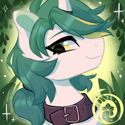 Size: 1000x1000 | Tagged: safe, artist:oofycolorful, oc, oc only, pony, unicorn, bust, solo