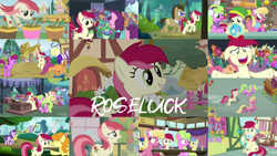 Size: 1974x1111 | Tagged: safe, edit, edited screencap, editor:quoterific, screencap, angel bunny, berry punch, berryshine, bon bon, carrot top, cherry berry, cloud kicker, daisy, doctor whooves, flower wishes, fluttershy, golden harvest, goldengrape, gooseberry, lemon hearts, lily, lily valley, pokey pierce, roseluck, sassaflash, scootaloo, seabreeze, sir colton vines iii, starlight glimmer, sugar belle, sweetie drops, time turner, breezie, earth pony, pegasus, pony, unicorn, a friend in deed, a trivial pursuit, applebuck season, best gift ever, bridle gossip, it ain't easy being breezies, it isn't the mane thing about you, no second prances, she talks to angel, slice of life (episode), student counsel, the big mac question, 3d glasses, bipedal, bipedal leaning, body swap, clothes, ear fluff, eyes closed, female, filly, flower, flower trio, friendship student, hat, helmet, leaning, male, older, older scootaloo, open mouth, scarf, school of friendship, scooter, trotting, twilight's castle, walking, winter outfit