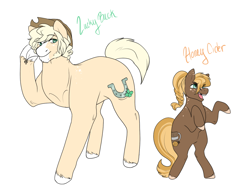 Size: 1024x768 | Tagged: safe, artist:arexstar, oc, oc only, oc:honey cider, oc:lucky buck, earth pony, pony, female, filly, male, offspring, parent:applejack, parent:trouble shoes, parents:troublejack, simple background, stallion, white background