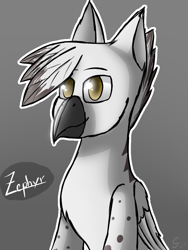 Size: 768x1024 | Tagged: safe, artist:somber, oc, oc only, griffon, griffon oc, male, solo