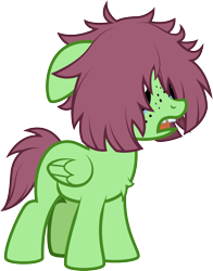 Size: 1171x1491 | Tagged: safe, artist:lightning stripe, derpibooru exclusive, edit, part of a set, oc, oc only, oc:watermelon success, pegasus, pony, g4, chest fluff, commission, cute, female, filly, floppy ears, freckles, mare, messy mane, ocbetes, open mouth, red mane, show accurate, simple background, solo, three quarter view, tongue out, tooth gap, transparent background, vector