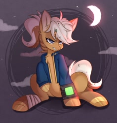 Size: 2045x2160 | Tagged: safe, artist:pesty_skillengton, earth pony, pony, angry, carrot, chest fluff, clothes, food, high res, jacket, pipboy, pipbuck, solo