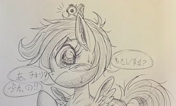 Size: 2271x1375 | Tagged: artist needed, source needed, safe, scootaloo, bird, chicken, pegasus, pony, g4, anime, female, japanese, scootachicken, traditional art