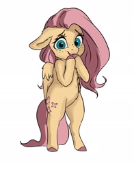 Size: 2143x2737 | Tagged: safe, artist:miokomata, fluttershy, pegasus, semi-anthro, g4, arm hooves, bipedal, cute, floppy ears, freckles, freckleshy, high res, looking at you, shyabetes, simple background, solo, white background