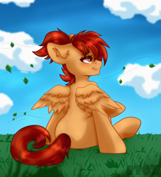 Size: 2000x2200 | Tagged: safe, artist:etoz, oc, oc only, oc:machaera, pegasus, pony, blushing, cloud, commission, female, grass, happy, high res, leaves, mare, pegasus oc, ponytail, relaxing, sitting, sky, smiling, solo, wind, wings