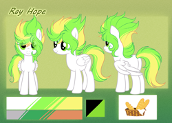 Size: 6096x4367 | Tagged: safe, artist:krissstudios, oc, oc only, oc:ray hope, pegasus, pony, absurd resolution, female, mare, reference sheet, solo