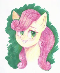Size: 1413x1707 | Tagged: safe, artist:ske, strawberry sunrise, pegasus, pony, g4, marker drawing, pencil drawing, solo, traditional art