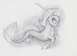 Size: 1024x747 | Tagged: safe, artist:daisymane, oc, oc only, seapony (g4), concept, dorsal fin, fins, fish tail, flowing mane, flowing tail, lidded eyes, looking at you, monochrome, pencil drawing, signature, simple background, smiling, solo, swimming, tail, traditional art, underwater, water, white background
