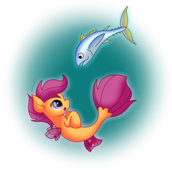 Size: 2077x2053 | Tagged: safe, artist:purplespacedragon, scootaloo, fish, pegasus, pony, seapony (g4), g4, dorsal fin, female, fin wings, fins, fish tail, high res, looking at each other, open mouth, purple eyes, seaponified, seapony scootaloo, simple background, solo, species swap, tail, transparent background, tuna, underwater, water, wings