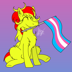 Size: 3500x3500 | Tagged: safe, artist:jay_wackal, oc, oc only, oc:marmalade, pegasus, pony, cute, female, flag, happy, high res, original character do not steal, pegasus oc, pride, pride flag, sitting, solo, transgender, transgender pride flag