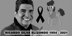 Size: 1028x512 | Tagged: safe, cheese sandwich, earth pony, human, pony, g4, actor, dubbing, irl, irl human, latin american, photo, rest in peace, ricardo silva, tribute edition, voice actor
