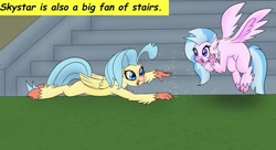 Size: 1149x625 | Tagged: safe, artist:chedx, edit, princess skystar, silverstream, hippogriff, g4, my little pony: the movie, cousins, cropped, cute, diastreamies, duo, headcanon, skyabetes, stairs, text, that hippogriff sure does love stairs