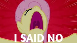 Size: 1920x1080 | Tagged: safe, edit, edited screencap, editor:quoterific, screencap, fluttershy, pegasus, pony, dragon quest, g4, season 2, eyes closed, female, no, open mouth, solo, yelling