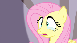 Size: 1920x1080 | Tagged: safe, screencap, fluttershy, pegasus, pony, filli vanilli, g4, season 4, crying, female, flutterguy, mare, open mouth, scary, shocked, solo, spotlight, tears of fear