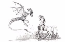 Size: 1600x1056 | Tagged: safe, artist:baron engel, oc, cockatrice, pony, unicorn, grayscale, male, monochrome, pencil drawing, petrification, simple background, stallion, story included, traditional art, white background