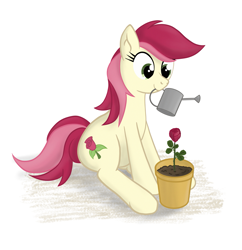 Size: 1485x1535 | Tagged: safe, artist:eels, roseluck, earth pony, pony, g4, female, flower pot, mouth hold, sitting, solo, watering can