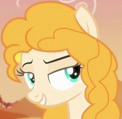 Size: 992x966 | Tagged: safe, screencap, pear butter, earth pony, pony, g4, the perfect pear, bedroom eyes, cropped, female, mare, smug, solo