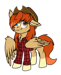 Size: 1258x1555 | Tagged: safe, artist:rokosmith26, oc, oc only, oc:rose acre, pegasus, pony, chibi, clothes, eyepatch, female, floppy ears, hat, long hair, long mane, looking up, mare, orange eyes, shirt, simple background, smiling, solo, transparent background
