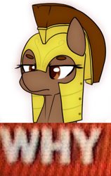 Size: 288x457 | Tagged: safe, artist:anonymous, artist:omiilett studios, edit, oc, oc only, oc:honour bound, earth pony, pony, fanfic:everyday life with guardsmares, armor, earth pony oc, everyday life with guardsmares, female, frown, guardsmare, mare, meme, reaction image, royal guard, royal guard armor, text, why