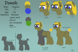 Size: 6000x4000 | Tagged: safe, artist:donnik, oc, oc only, oc:donnik, pegasus, pony, clothes, glasses, jewelry, reference sheet, solo, sweater