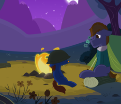 Size: 1673x1432 | Tagged: safe, artist:derpy_the_duck, oc, oc:derp, earth pony, pony, campfire, camping, father and child, father and son, helmet, like father like son, like parent like child, male, night