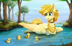 Size: 8268x5315 | Tagged: safe, artist:buvanybu, oc, oc only, oc:aurryhollows, bird, duck, pegasus, pony, absurd resolution, behaving like a duck, blurry background, cheek fluff, chest fluff, collar, colored pupils, commission, cute, duckling, feather, folded wings, grass, male, mountain, neckerchief, open mouth, outdoors, pegaduck, pond, sky, smiling, stallion, swimming, tree, water, wings, ych result
