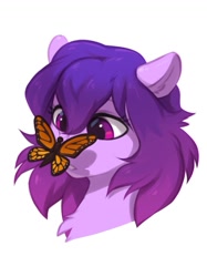 Size: 823x1101 | Tagged: safe, artist:vistamage, oc, oc only, oc:share dast, butterfly, pony, bust, butterfly on nose, chest fluff, insect on nose, simple background, solo, white background