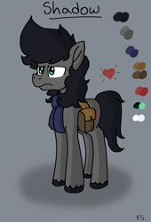 Size: 3403x5000 | Tagged: safe, artist:dark shadow, oc, oc only, earth pony, pony, bag, frown, reference sheet, saddle bag, solo