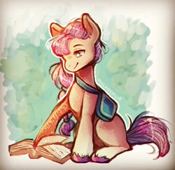 Size: 1241x1204 | Tagged: safe, artist:verymelancollie, sunny starscout, earth pony, pony, g5, abstract background, bag, book, braid, female, looking down, mare, reading, sitting, smiling, solo, unshorn fetlocks