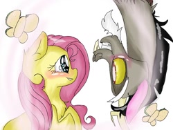 Size: 1040x780 | Tagged: safe, artist:cocolove2176, discord, fluttershy, butterfly, draconequus, pegasus, pony, g4, blushing, duo, eyelashes, female, looking at each other, male, mare, ship:discoshy, shipping, simple background, smiling, straight, upside down, white background