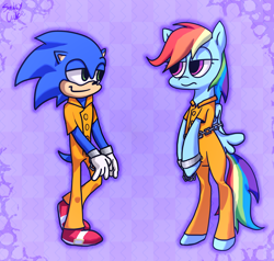 Size: 2000x1900 | Tagged: safe, artist:saltycube, rainbow dash, pegasus, pony, g4, abstract background, bound wings, chains, clothes, commission, crossover, cuffs, duo, female, handcuffed, male, mare, prison outfit, prisoner rd, shackles, simple background, sonic the hedgehog, sonic the hedgehog (series), unamused, wings