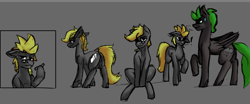 Size: 986x409 | Tagged: safe, artist:queen-razlad, oc, oc only, oc:trestle, oc:villainshima, earth pony, pegasus, pony, disguise, disguised changeling, duo, mane, simple background, size difference