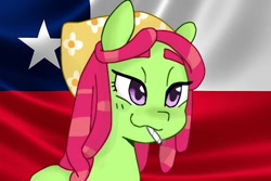 Size: 612x408 | Tagged: safe, edit, editor:tcgamebot, tree hugger, earth pony, pony, g4, chile, drugs, female, mare, smoking, solo