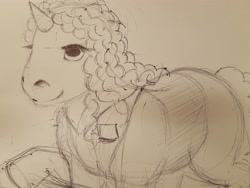 Size: 4096x3072 | Tagged: artist needed, safe, pony, apron, clerk, clothes, community related, grocery store, rough sketch