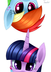 Size: 2480x3507 | Tagged: safe, artist:twidasher, rainbow dash, twilight sparkle, pegasus, pony, g4, curious, duo, ear piercing, feather, female, high res, lesbian, looking at you, piercing, ship:twidash, shipping, signature, simple background, transparent background, upside down