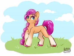 Size: 4000x3000 | Tagged: safe, artist:lazybread, sunny starscout, earth pony, pony, g5, chest fluff, cloud, coat markings, female, grass, high res, looking at you, mare, missing cutie mark, raised hoof, signature, sky, smiling, socks (coat markings), solo, unshorn fetlocks